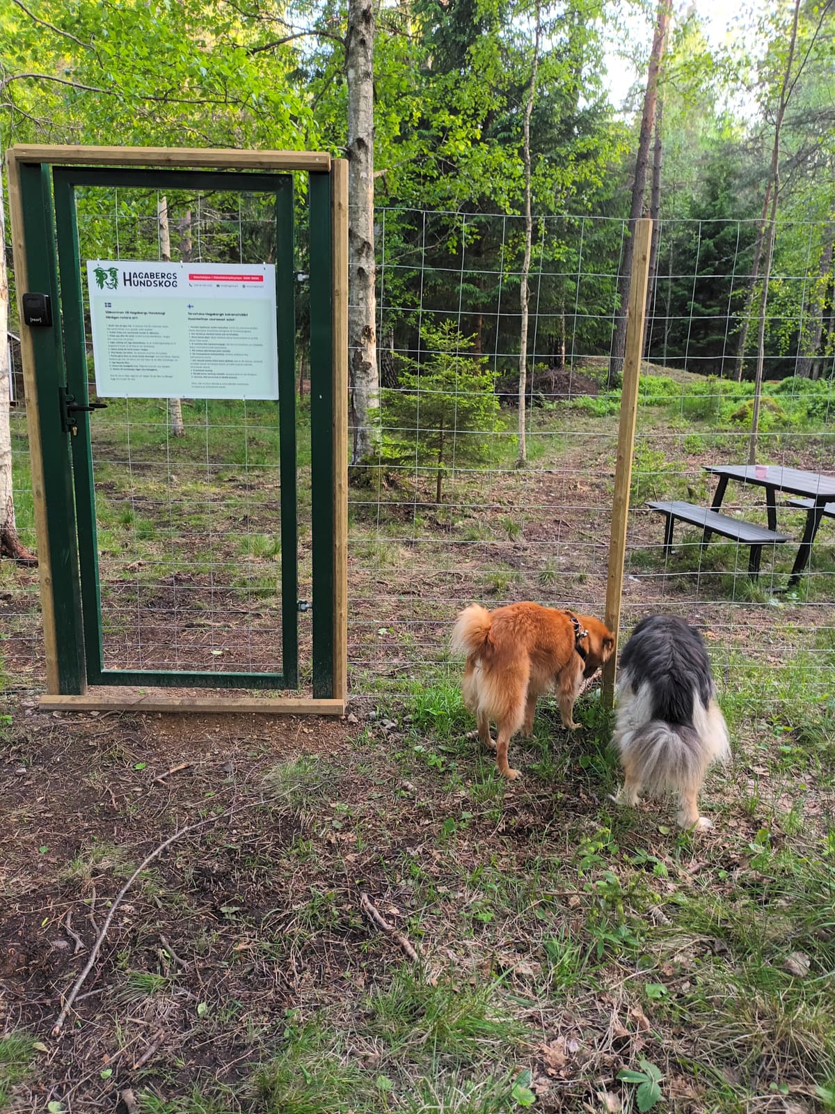 Hagabergs Hundskog/Koirametsä
