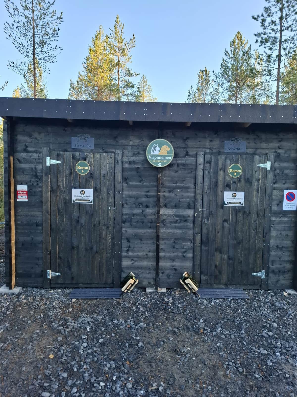 Virpiniemen koirametsät Remu & Romeo – koirametsän pääkuva