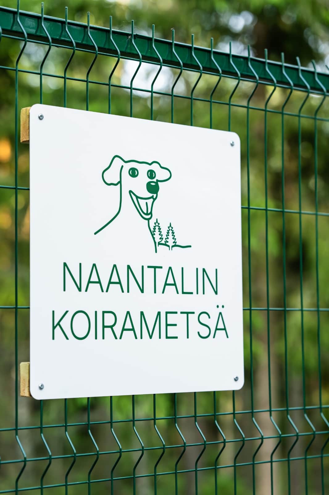 Naantalin Koirametsä – koirametsän pääkuva