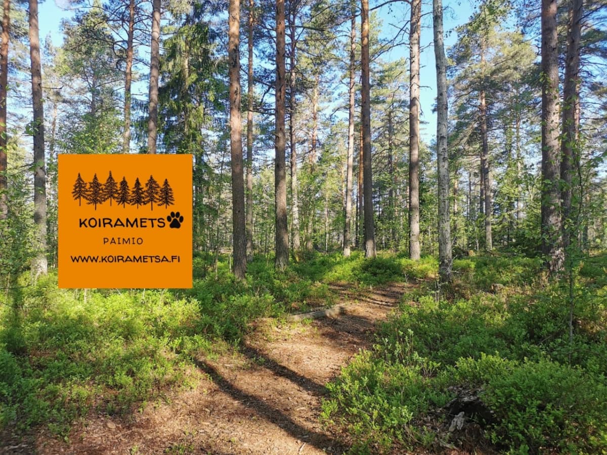 Paimion Koirametsä