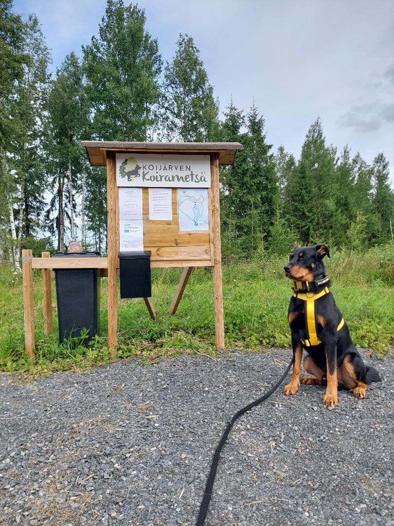 Koijärven Koirametsä