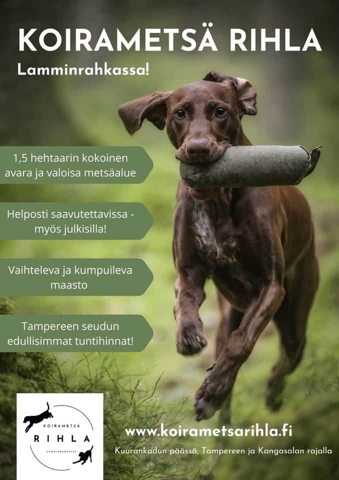 Koirametsä Rihla – koirametsän pääkuva