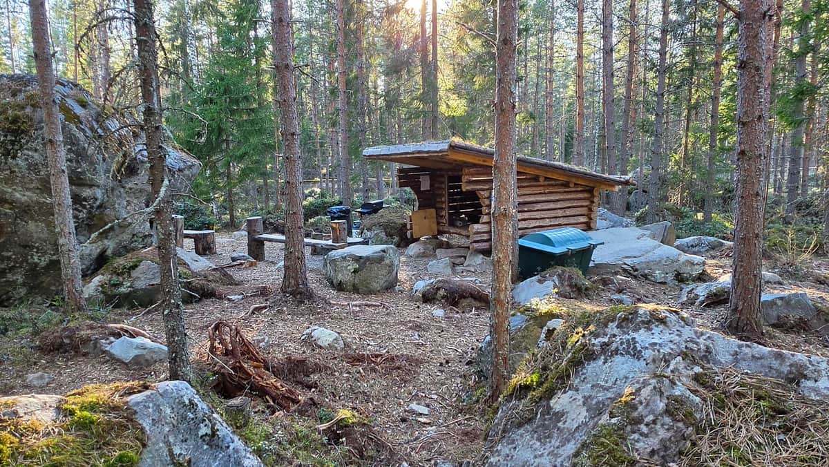 Kokkolan Koirametsä – koirametsän pääkuva
